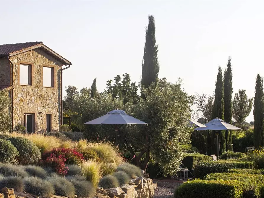 Immagine 4 di Casa colonica in vendita  a Magliano In Toscana