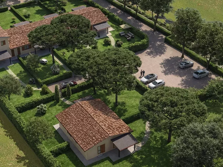 Immagine 4 di Appartamento in vendita  a Piombino