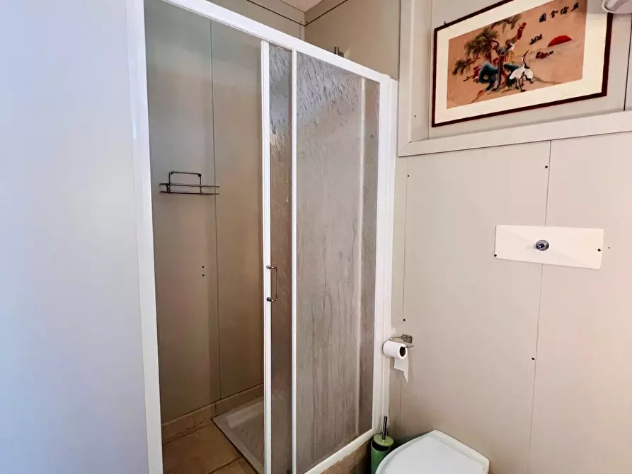 Immagine 9 di Appartamento in vendita  a Bibbona