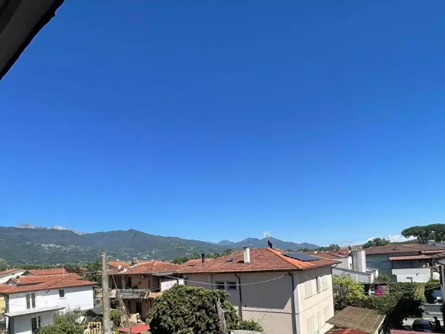 Immagine 24 di Appartamento in vendita  a Massa