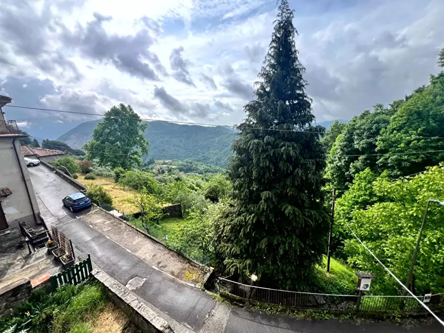 Immagine 35 di Appartamento in vendita  a Pescaglia