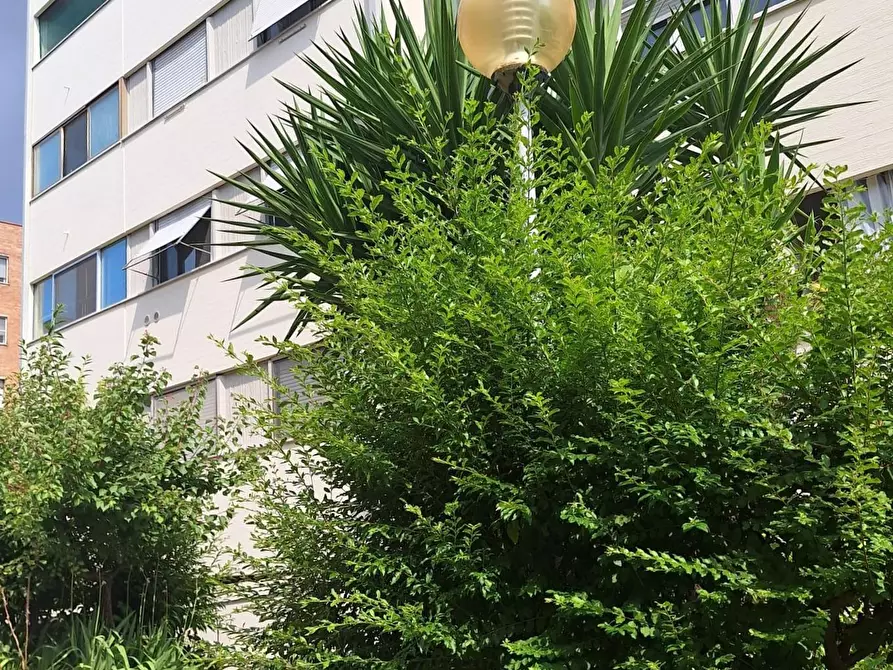 Immagine 1 di Appartamento in vendita  a Pisa