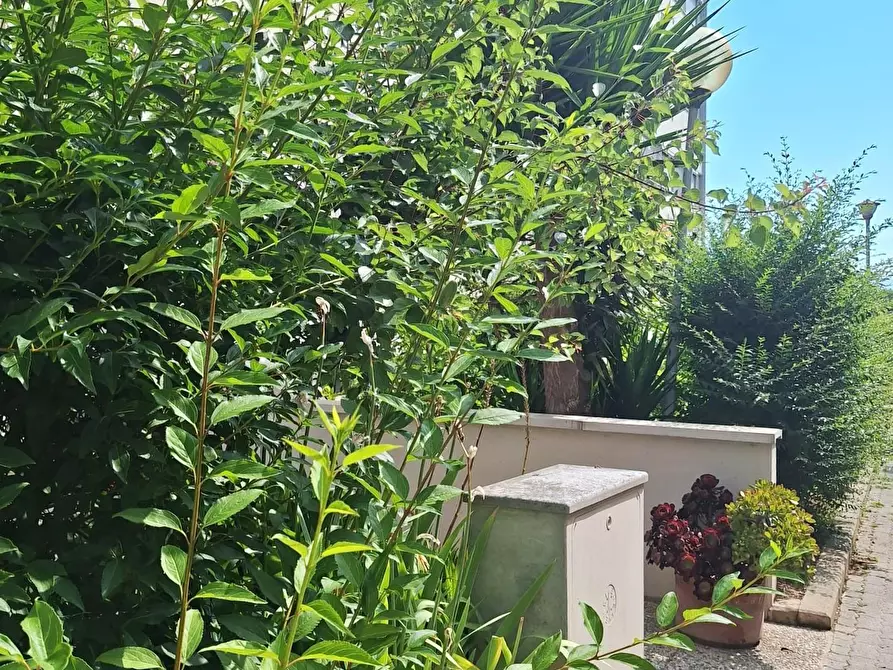 Immagine 3 di Appartamento in vendita  a Pisa