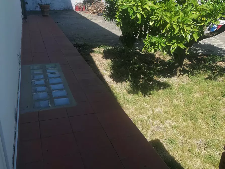 Immagine 20 di Villa in vendita  a Carmignano