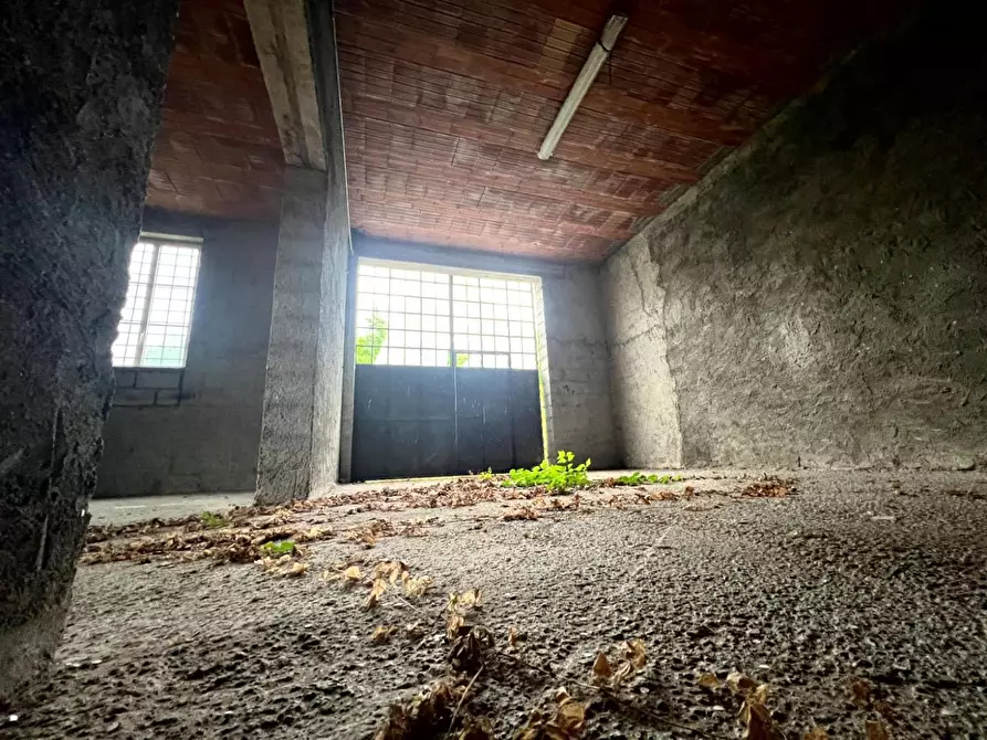 Immagine 7 di Magazzino in vendita  a Borgo A Mozzano