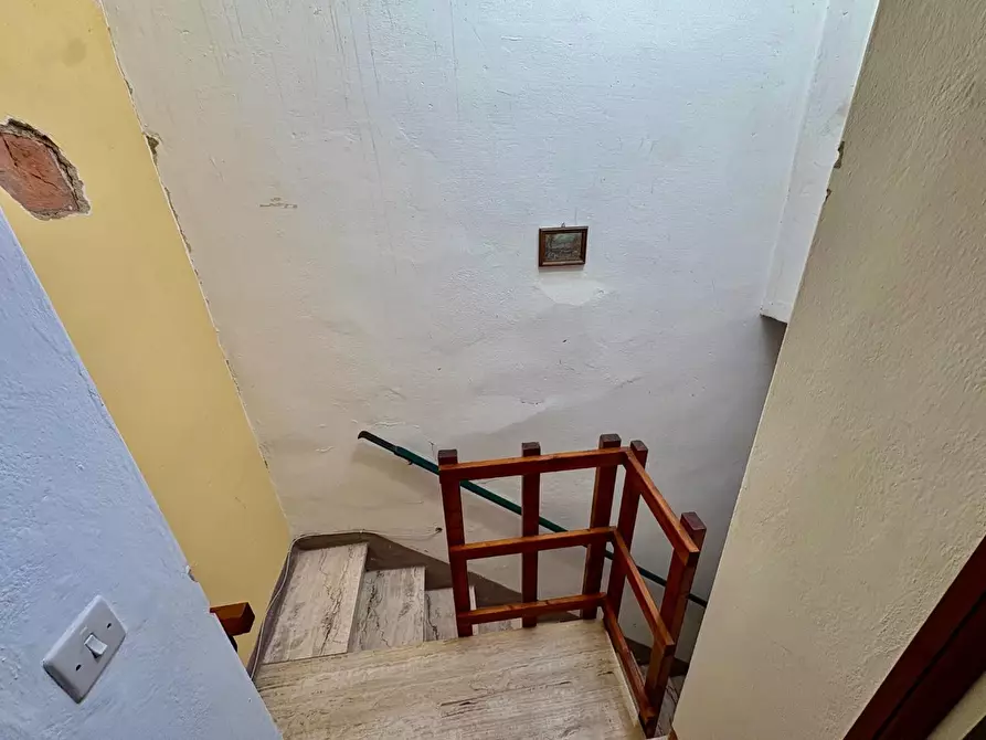 Immagine 17 di Appartamento in vendita  a Crespina Lorenzana