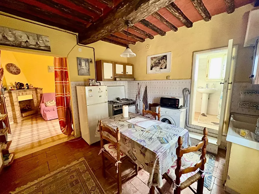 Immagine 5 di Appartamento in vendita  a Crespina Lorenzana
