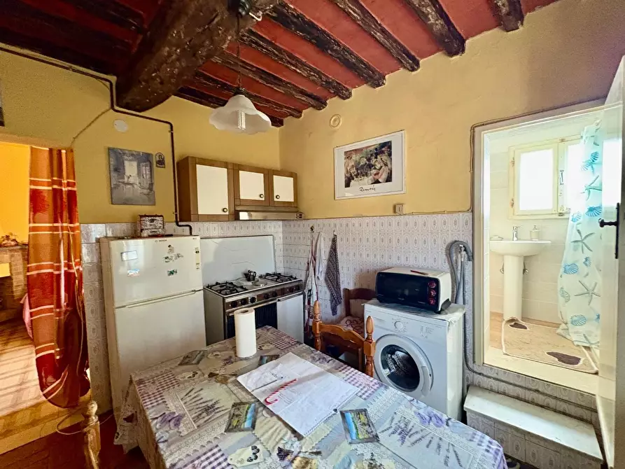 Immagine 6 di Appartamento in vendita  a Crespina Lorenzana
