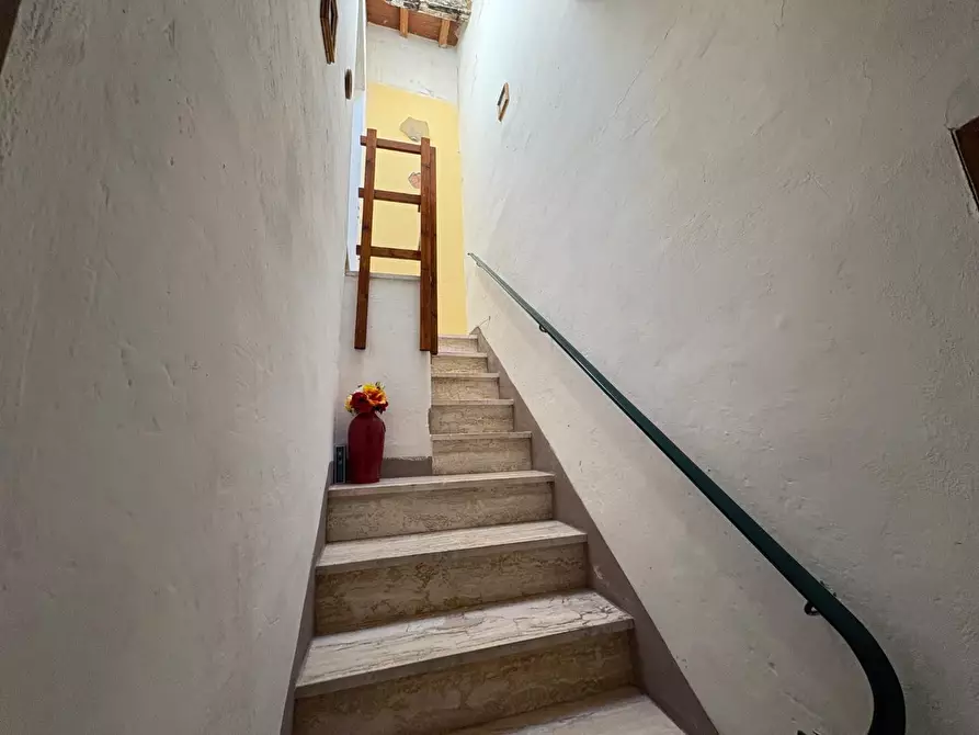 Immagine 12 di Appartamento in vendita  a Crespina Lorenzana