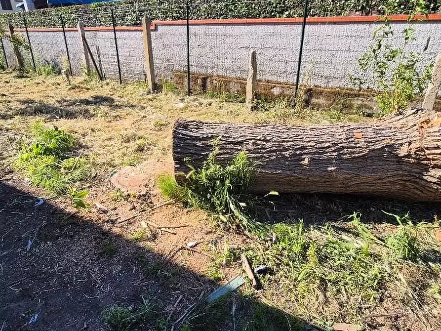 Immagine 6 di Terratetto in vendita  a Cascina