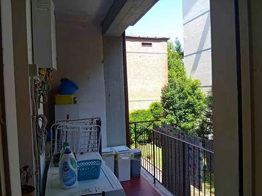 Immagine 11 di Appartamento in affitto  a Pisa
