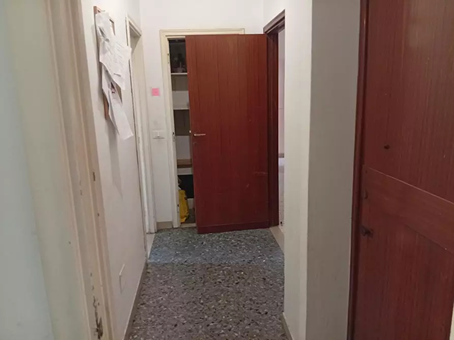 Immagine 14 di Appartamento in affitto  a Pisa