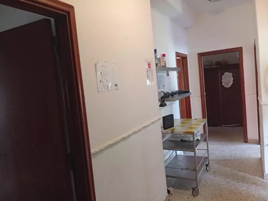Immagine 9 di Appartamento in affitto  a Pisa