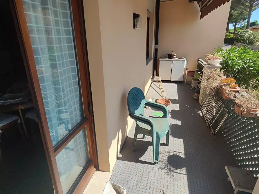 Immagine 7 di Appartamento in vendita  a Peccioli