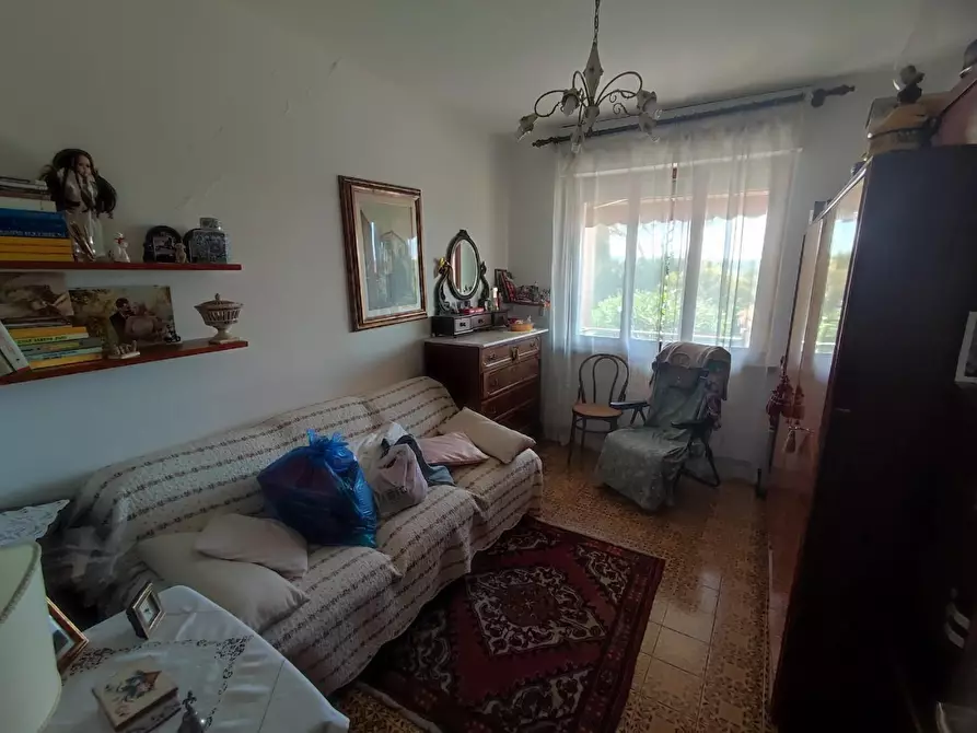 Immagine 10 di Appartamento in vendita  a Peccioli