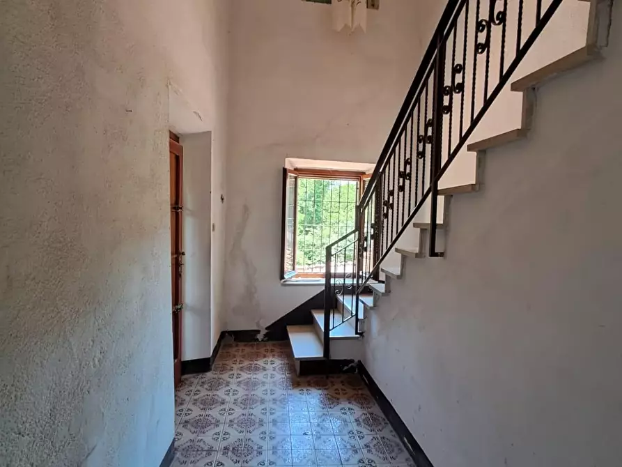 Immagine 7 di Appartamento in vendita  a Buti