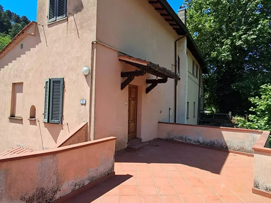 Immagine 3 di Appartamento in vendita  a Buti