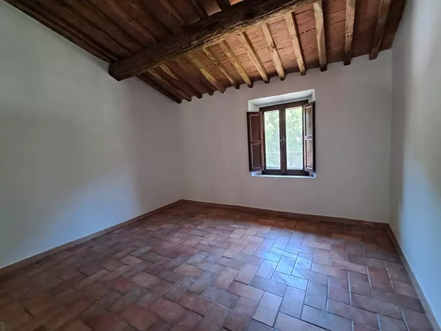 Immagine 15 di Appartamento in vendita  a Buti