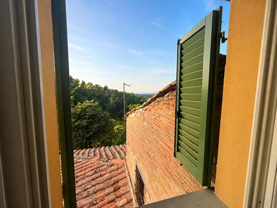 Immagine 11 di Appartamento in vendita  a Terricciola