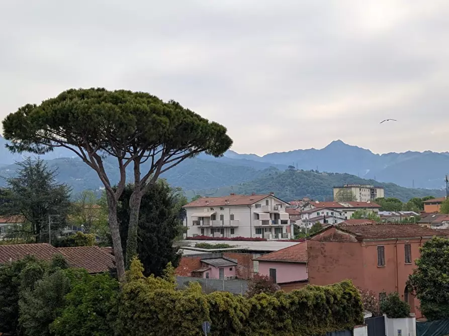 Immagine 10 di Appartamento in affitto  a Carrara