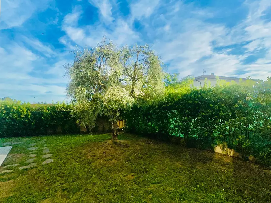 Immagine 53 di Appartamento in vendita  a Calcinaia