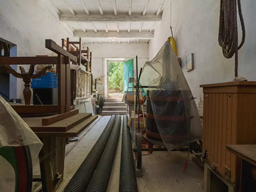 Immagine 41 di Casa colonica in vendita  a Casciana Terme Lari