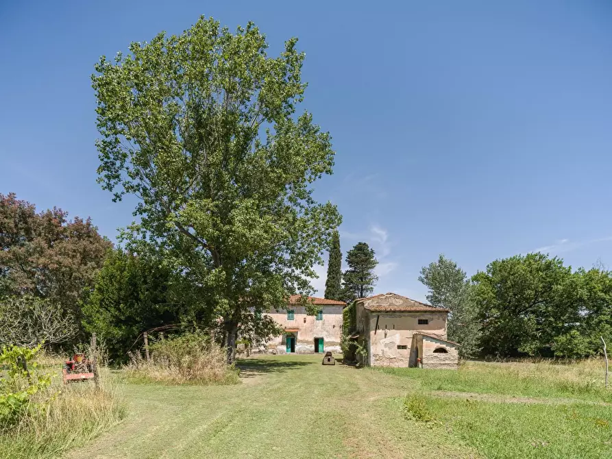 Immagine 38 di Casa colonica in vendita  a Casciana Terme Lari