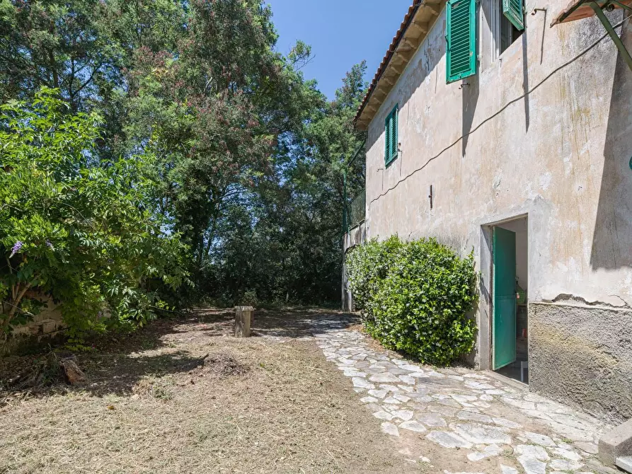 Immagine 34 di Casa colonica in vendita  a Casciana Terme Lari