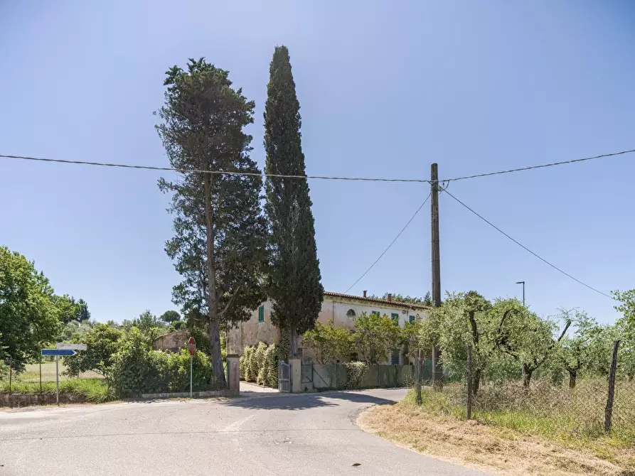Immagine 43 di Casa colonica in vendita  a Casciana Terme Lari