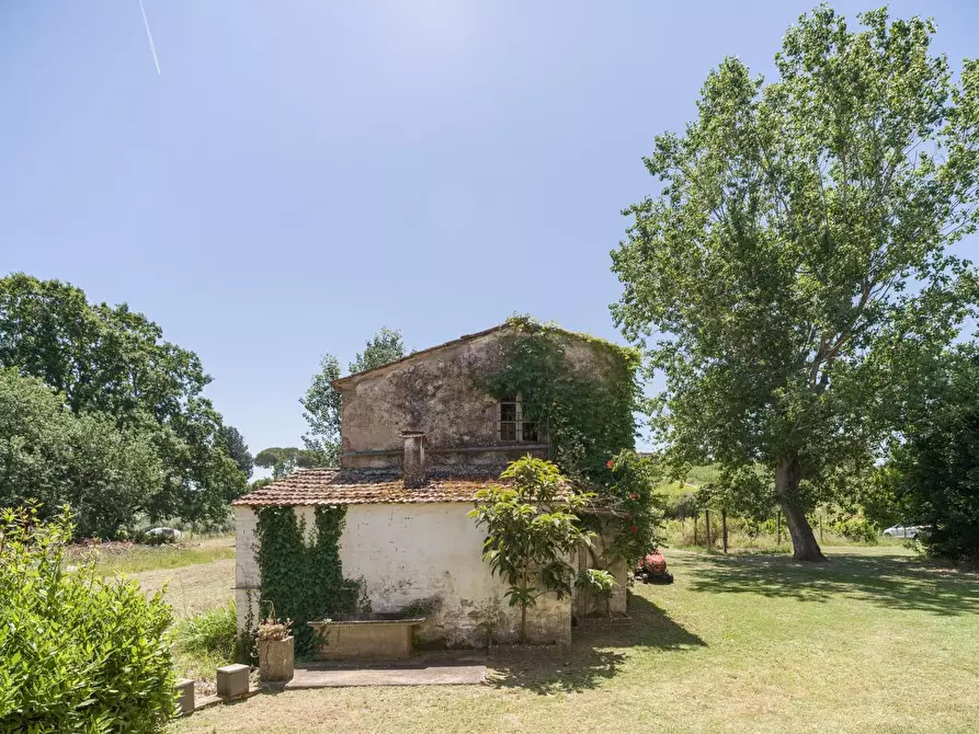 Immagine 9 di Casa colonica in vendita  a Casciana Terme Lari