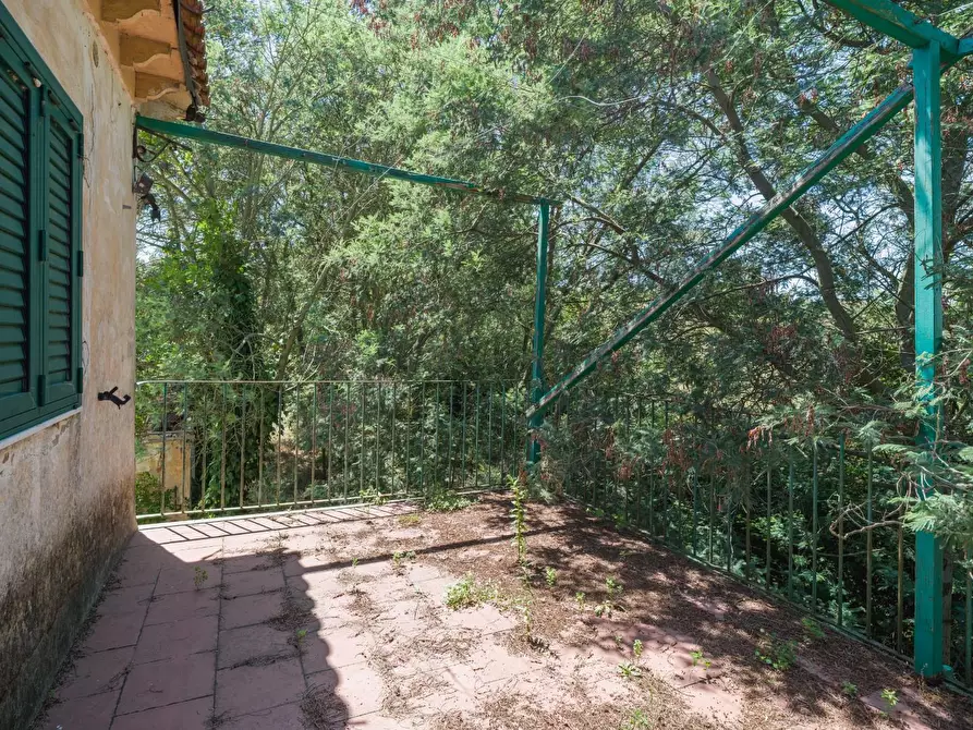 Immagine 35 di Casa colonica in vendita  a Casciana Terme Lari