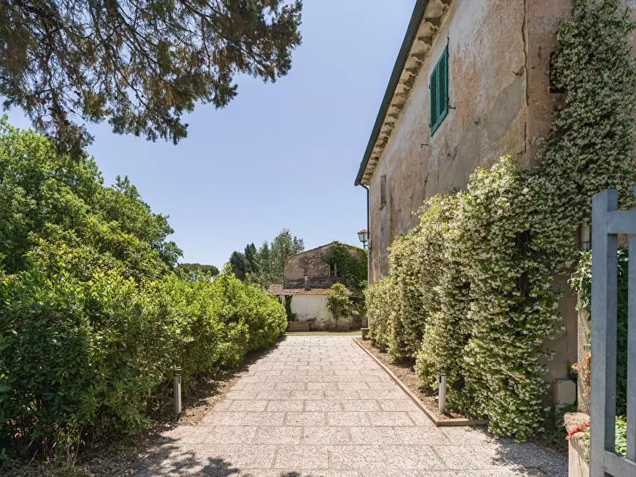 Immagine 2 di Casa colonica in vendita  a Casciana Terme Lari