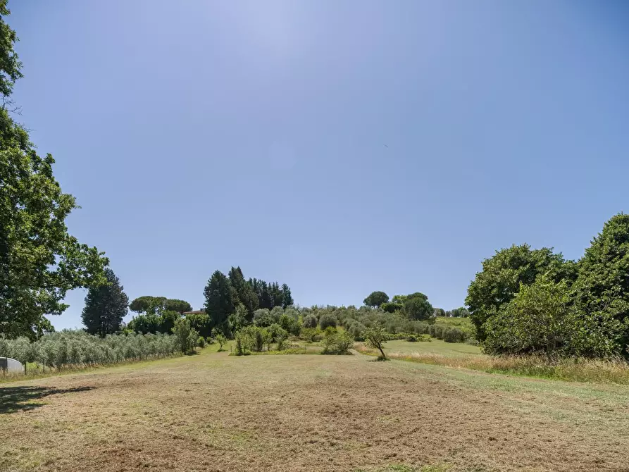 Immagine 39 di Casa colonica in vendita  a Casciana Terme Lari