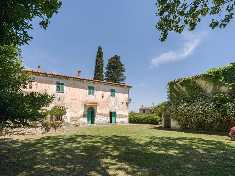 Immagine 6 di Casa colonica in vendita  a Casciana Terme Lari
