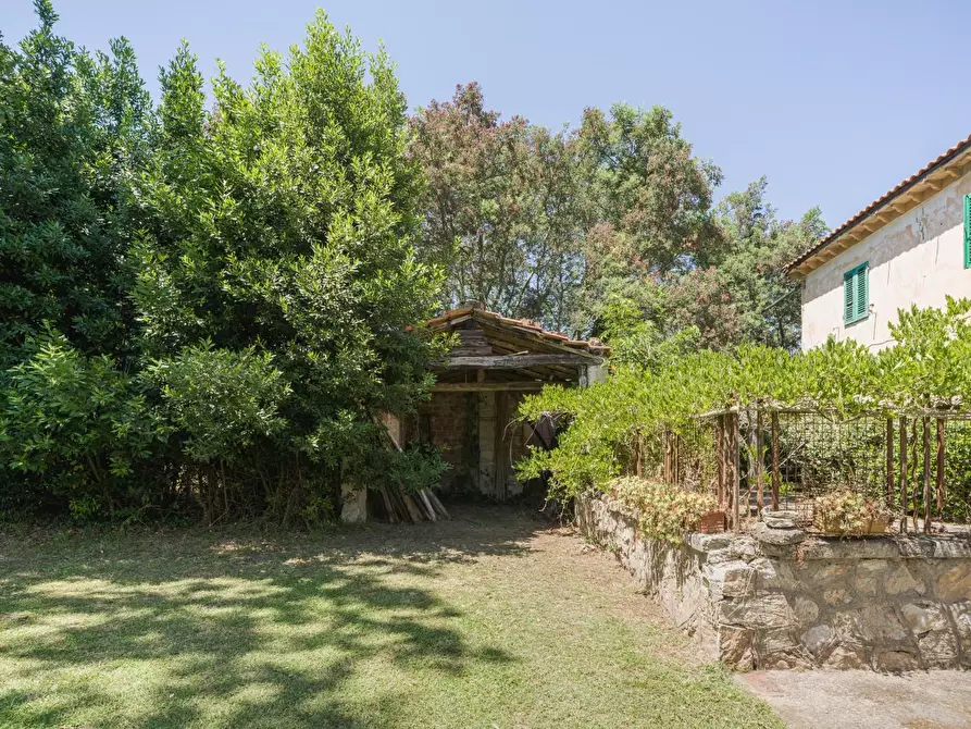 Immagine 11 di Casa colonica in vendita  a Casciana Terme Lari