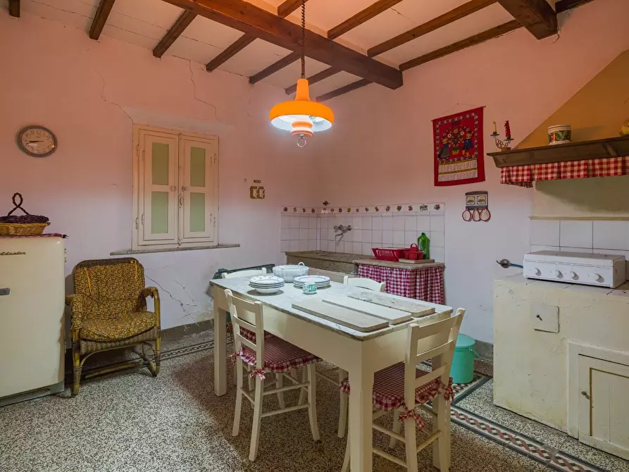 Immagine 13 di Casa colonica in vendita  a Casciana Terme Lari