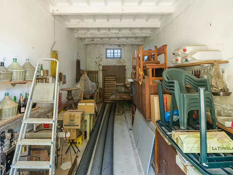 Immagine 42 di Casa colonica in vendita  a Casciana Terme Lari