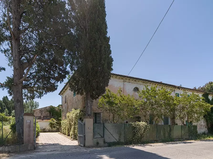 Immagine 1 di Casa colonica in vendita  a Casciana Terme Lari