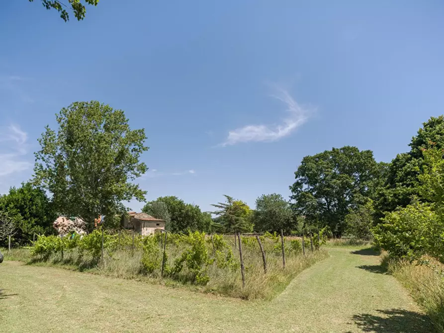 Immagine 36 di Casa colonica in vendita  a Casciana Terme Lari
