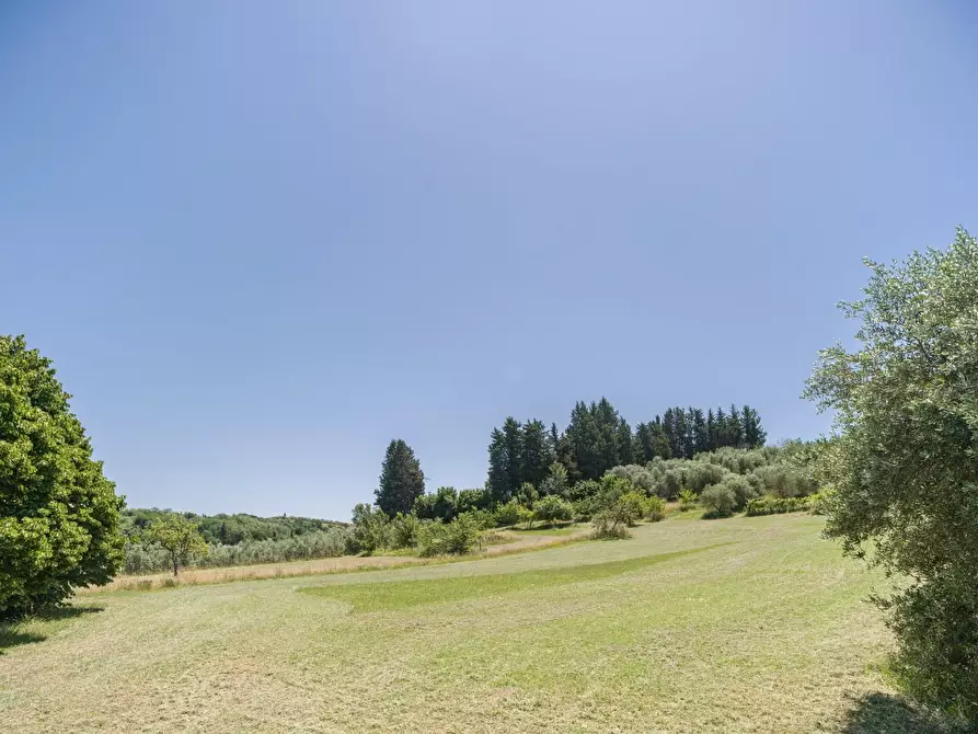 Immagine 8 di Casa colonica in vendita  a Casciana Terme Lari