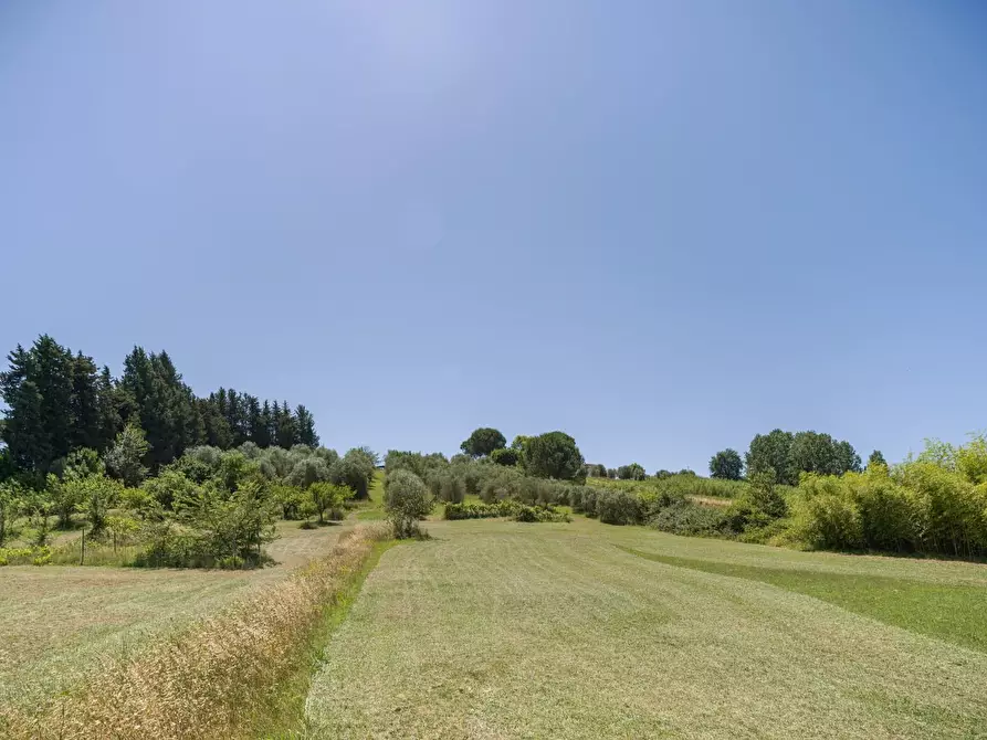 Immagine 7 di Casa colonica in vendita  a Casciana Terme Lari