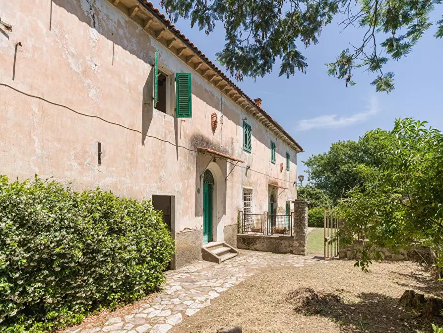 Immagine 5 di Casa colonica in vendita  a Casciana Terme Lari