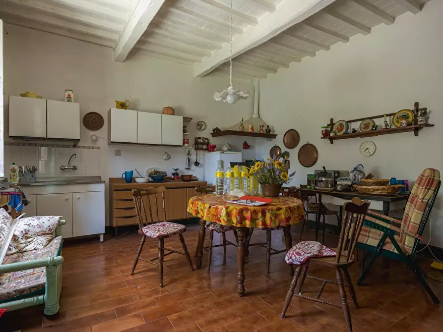 Immagine 19 di Casa colonica in vendita  a Casciana Terme Lari