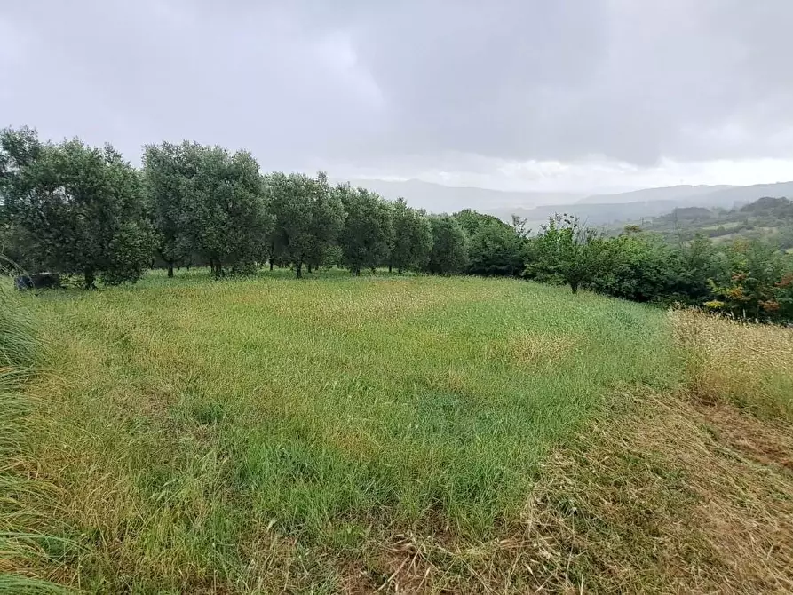 Immagine 31 di Porzione di casa in vendita  a Rosignano Marittimo