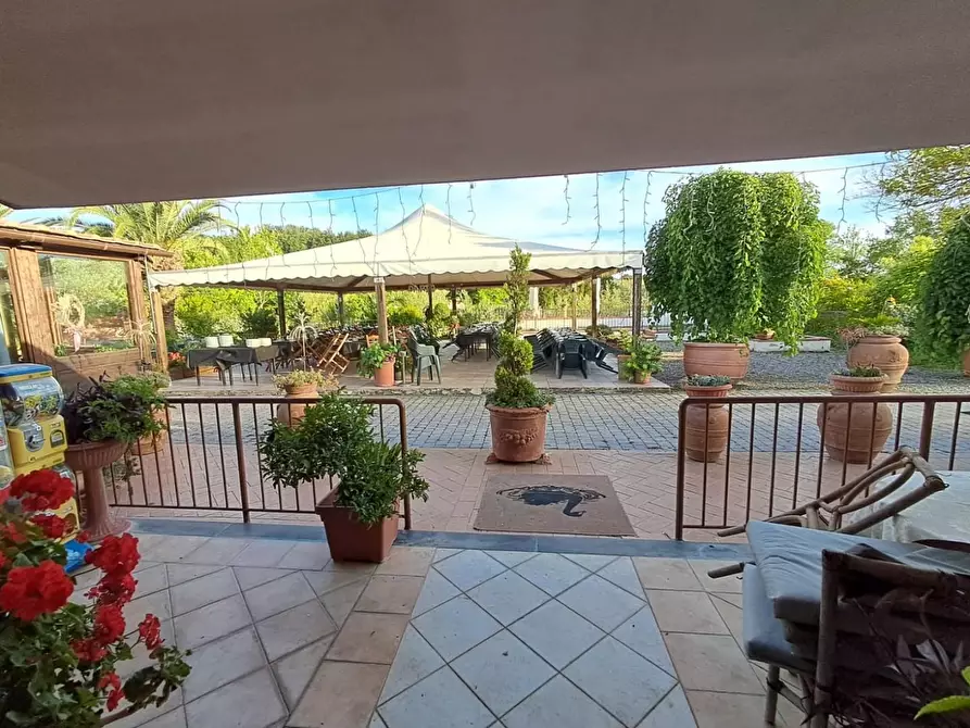 Immagine 18 di Bar / Ristorante in vendita  a Pisa