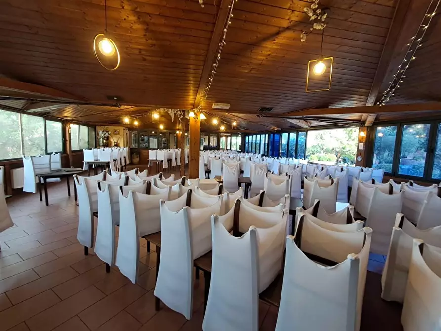 Immagine 27 di Bar / Ristorante in vendita  a Pisa