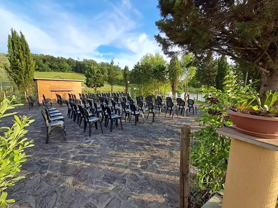 Immagine 32 di Bar / Ristorante in vendita  a Pisa
