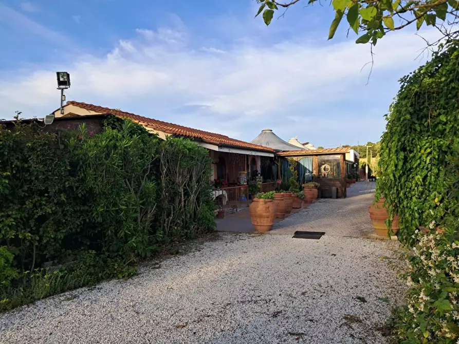 Immagine 56 di Bar / Ristorante in vendita  a Pisa