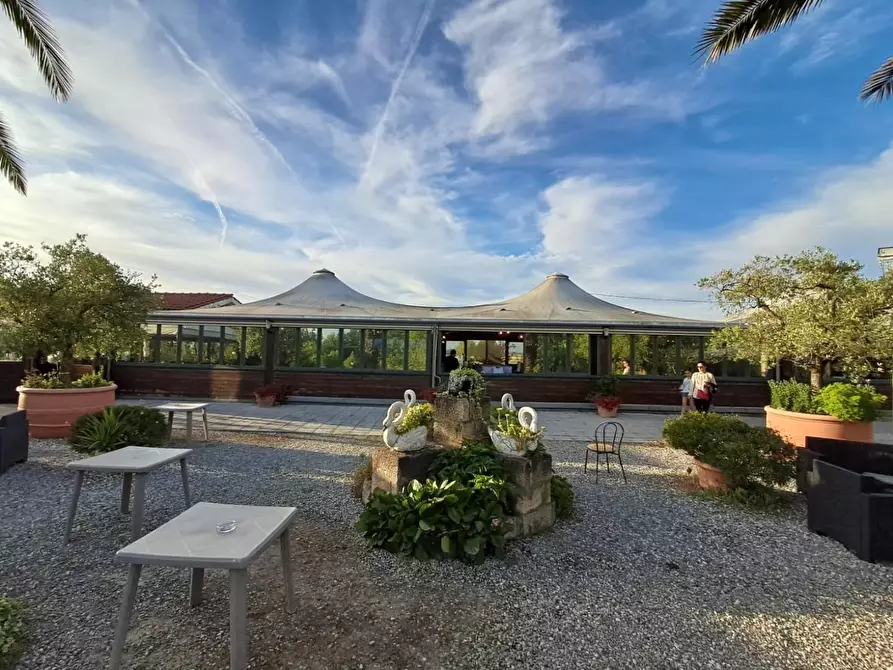 Immagine 50 di Bar / Ristorante in vendita  a Pisa