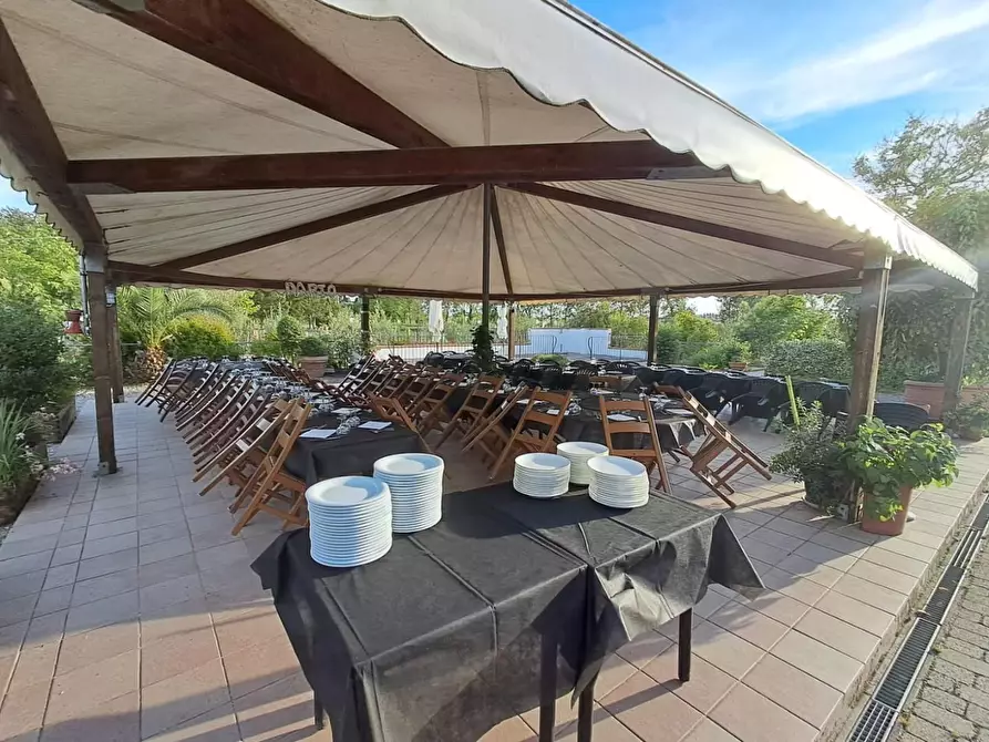 Immagine 51 di Bar / Ristorante in vendita  a Pisa
